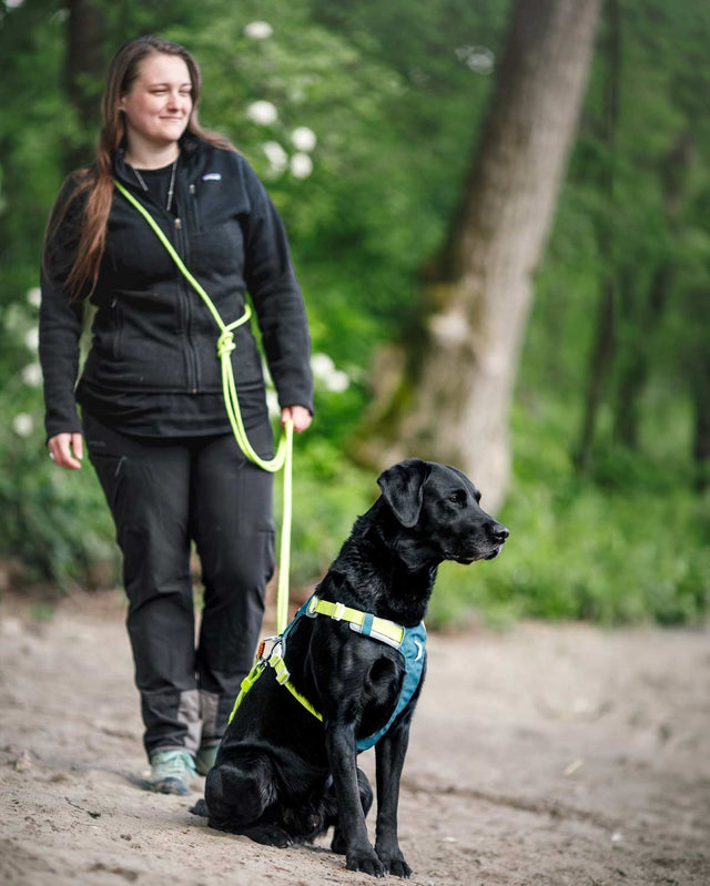 Woolly Wolf Hundegeschirr Alpha 360 | Deep Teal Hundegeschirr