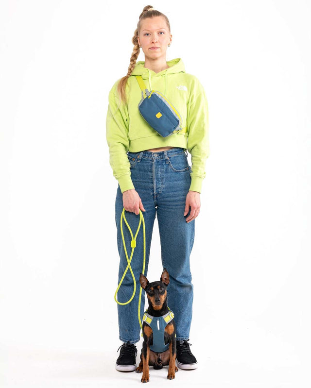 Woolly Wolf Hundegeschirr Alpha 360 | Deep Teal Hundegeschirr