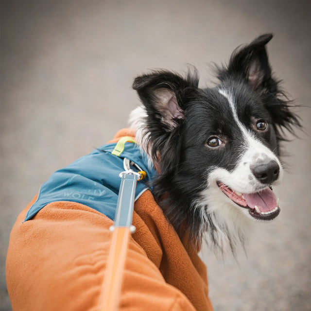 Woolly Wolf Fleece-Pullover Alpha 360, Terracotta-Mix Hundepullover
