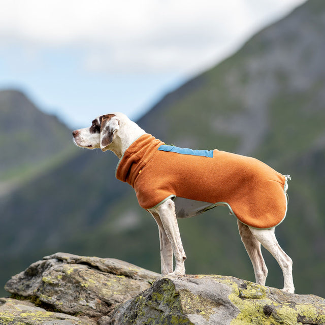 Woolly Wolf Fleece-Pullover Alpha 360, Terracotta-Mix Hundepullover