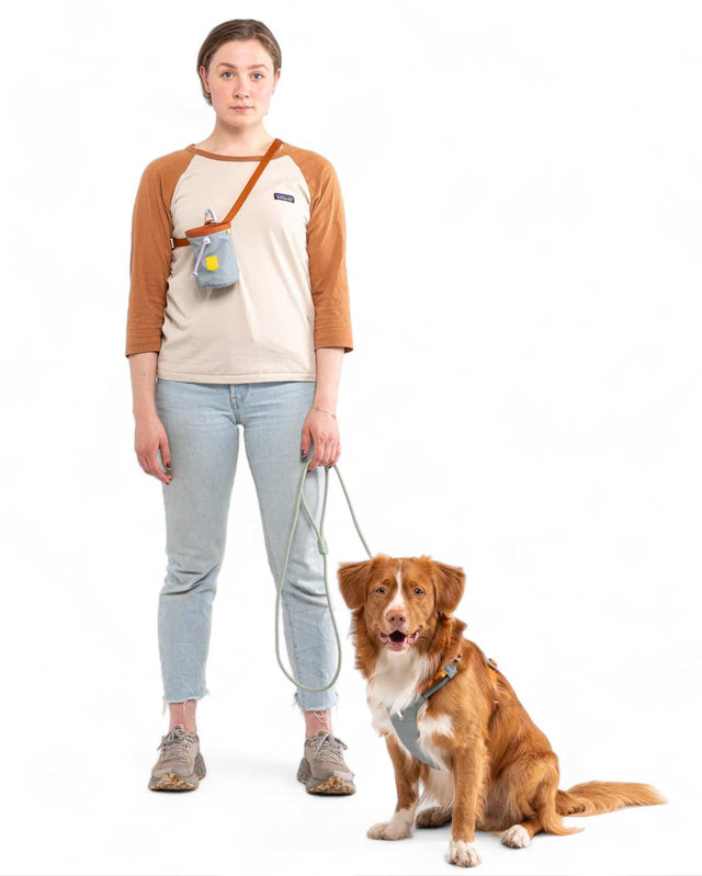 Woolly Wolf Hundegeschirr Alpha 360 | Glacier Green Hundegeschirr