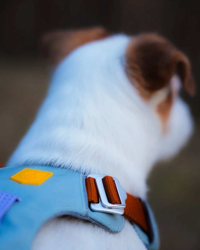 Woolly Wolf Hundegeschirr Alpha 360 | Lavender Mix Hundegeschirr