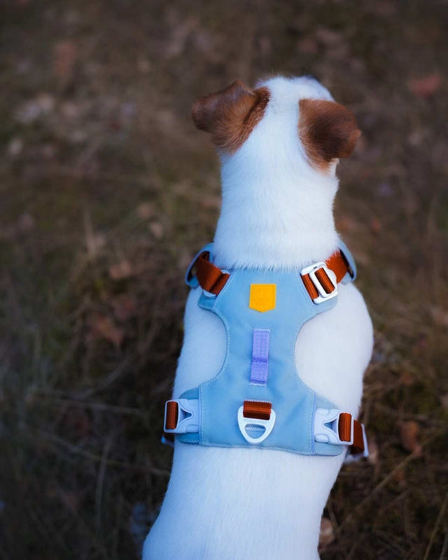 Woolly Wolf Hundegeschirr Alpha 360 | Lavender Mix Hundegeschirr