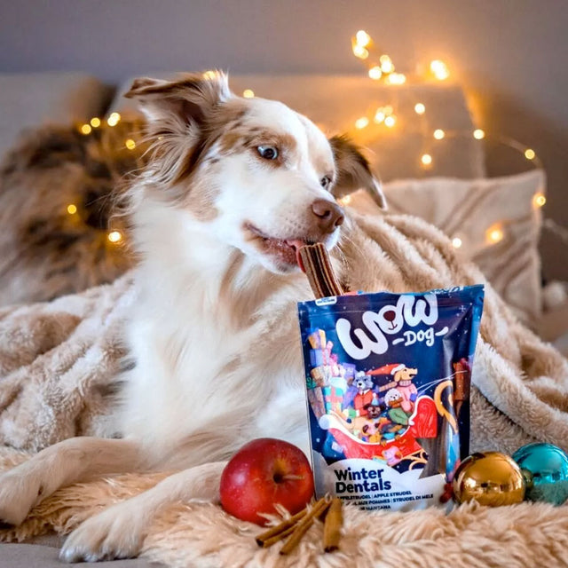 Wow Winter Dentals, Apfelstrudel Zahnpflege für Hunde