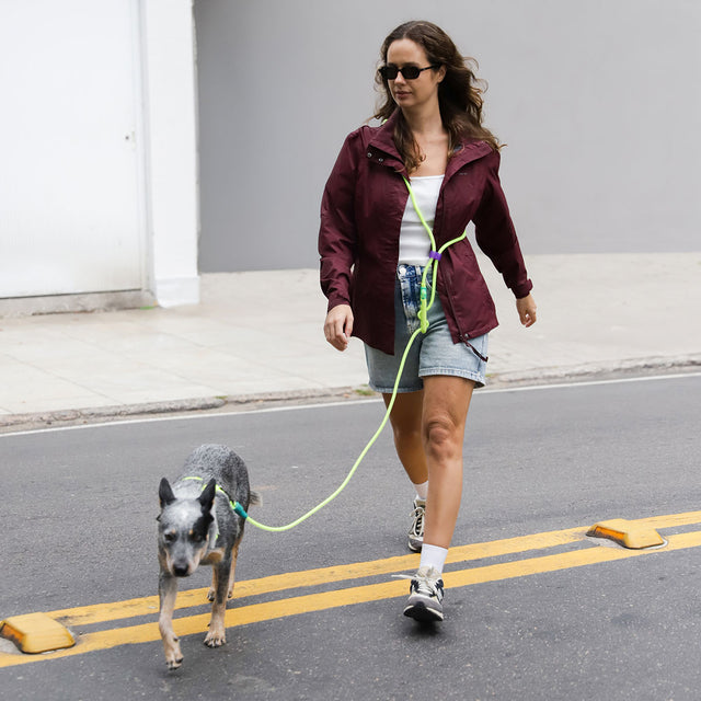 Zee.Dog Hands-Free Hundeleine Neopro, Fluo Hundeleine