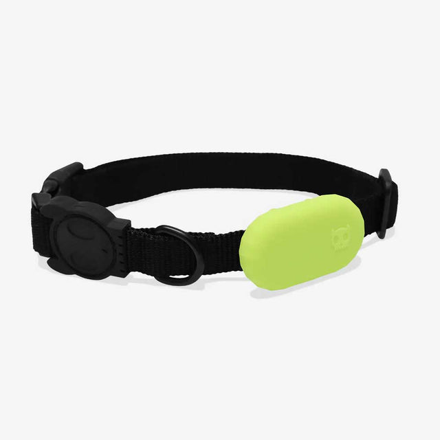 Zee.Dog Galaxy Tag Holder, Lime Accessoires