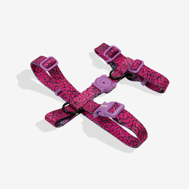 Zee.Dog Hundegeschirr | H-Harness, Brain Hundegeschirr