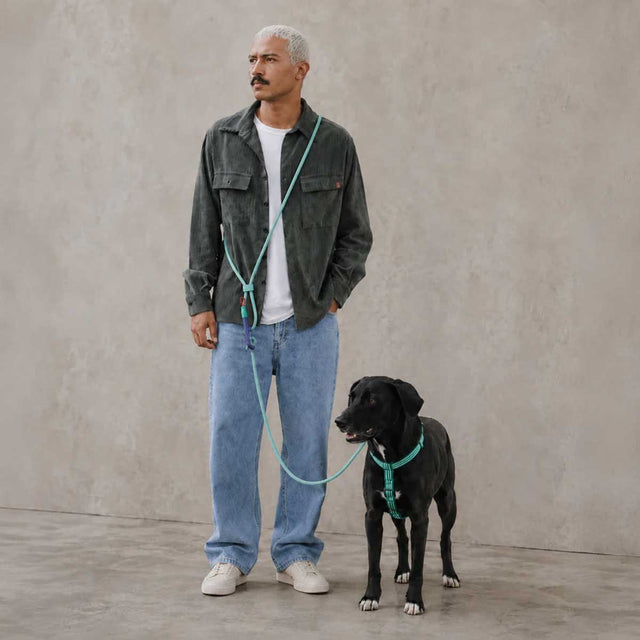 Zee.Dog Hands-Free Hundeleine Vert Velvet Vibes Hundeleine