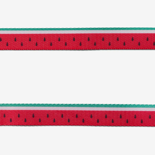 Zee.Dog Hundehalsband | Lola Hundehalsband