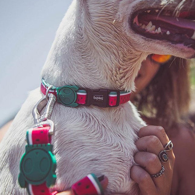 Zee.Dog Hundeleine | Lola Hundeleine