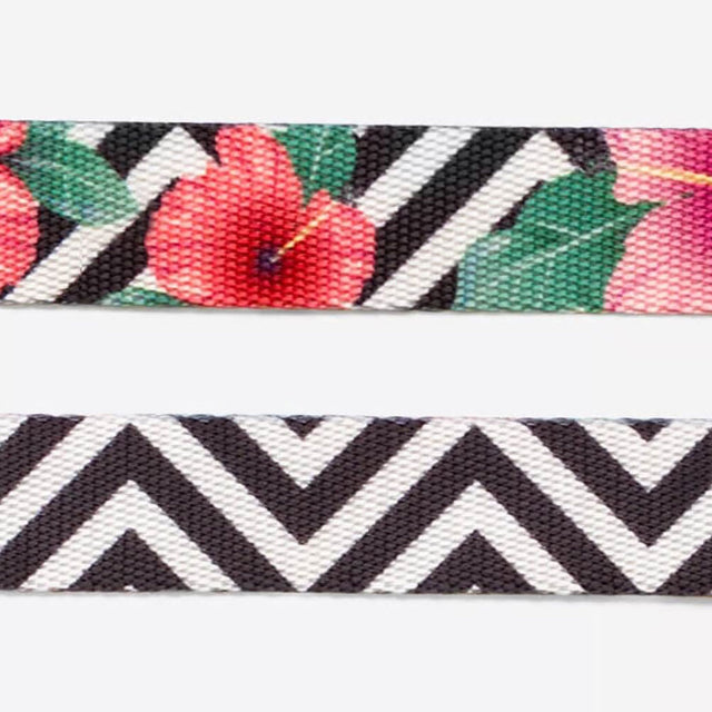 Zee.Dog Hundehalsband, Mahalo Hundehalsband