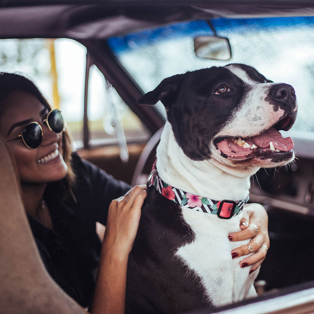 Zee.Dog Hundehalsband, Mahalo Hundehalsband