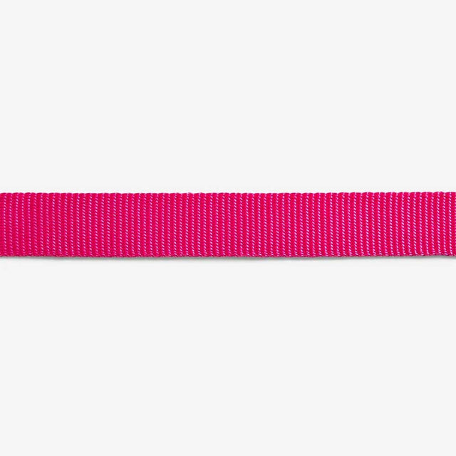 Zee.Dog Hundehalsband, Pink Led Hundehalsband
