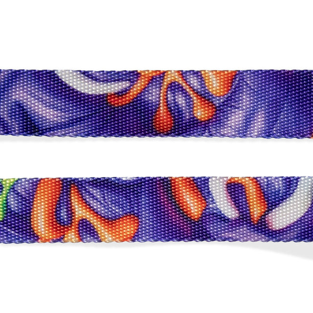 Zee.Dog Hundeleine HD3, Puff Hundeleine