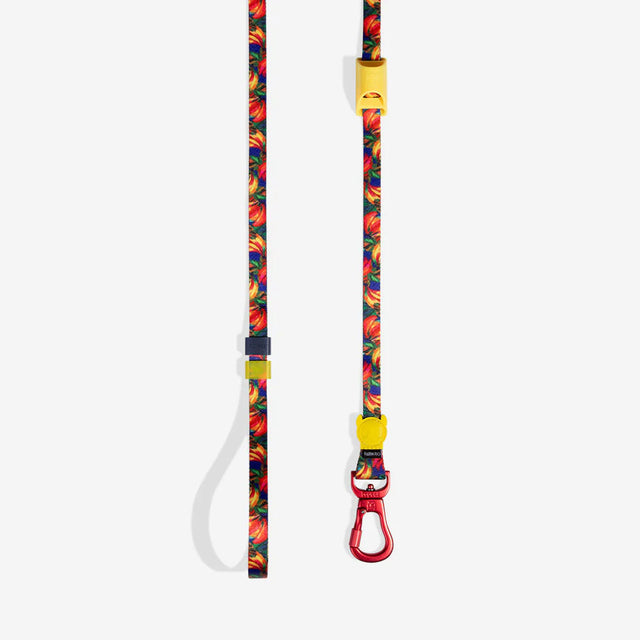Zee.Dog Hundeleine Long Leash, Samba Hundeleine
