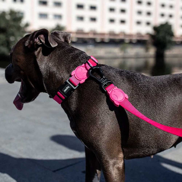 Zee.Dog Hundeleine | Pink Led Hundeleine
