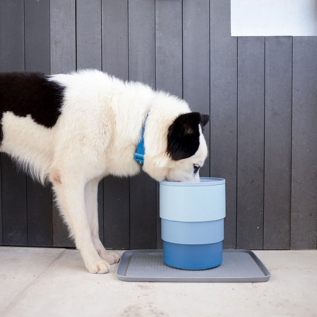 Zee.Dog Hundenapf Zee.Bowl, Blue Napf