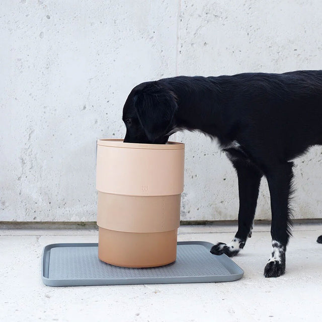 Zee.Dog Hundenapf Zee.Bowl, Sand Napf