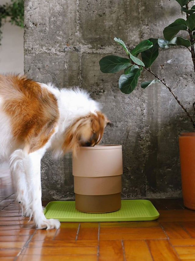 Zee.Dog Hundenapf Zee.Bowl, Sand Napf