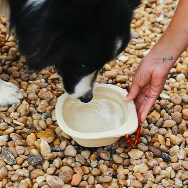 Zee.Dog Reisenapf Go Bowl, Biscotti Reisenapf