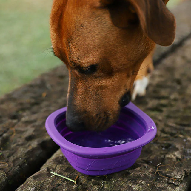 Zee.Dog Reisenapf Go Bowl, Peak Reisenapf