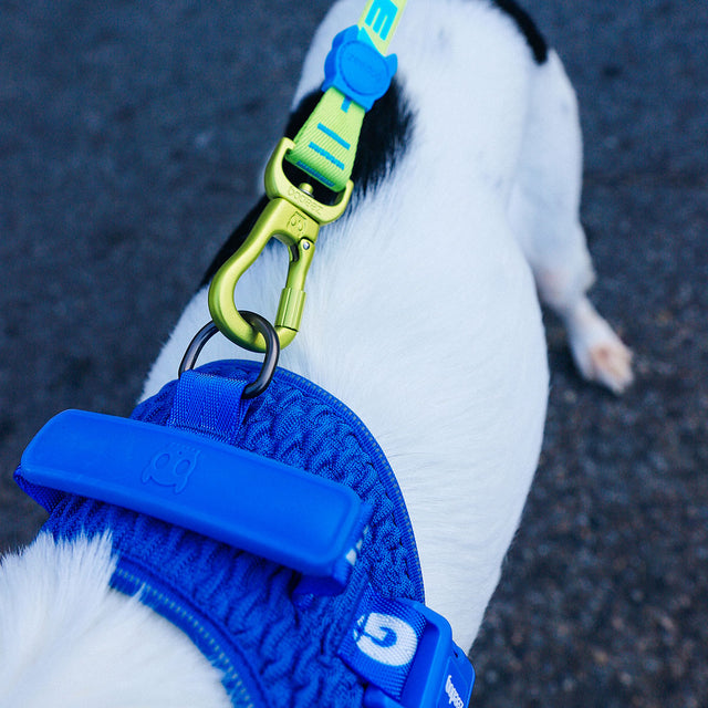 Zee.Dog Hundeleine Long Leash, Rayo Hundeleine