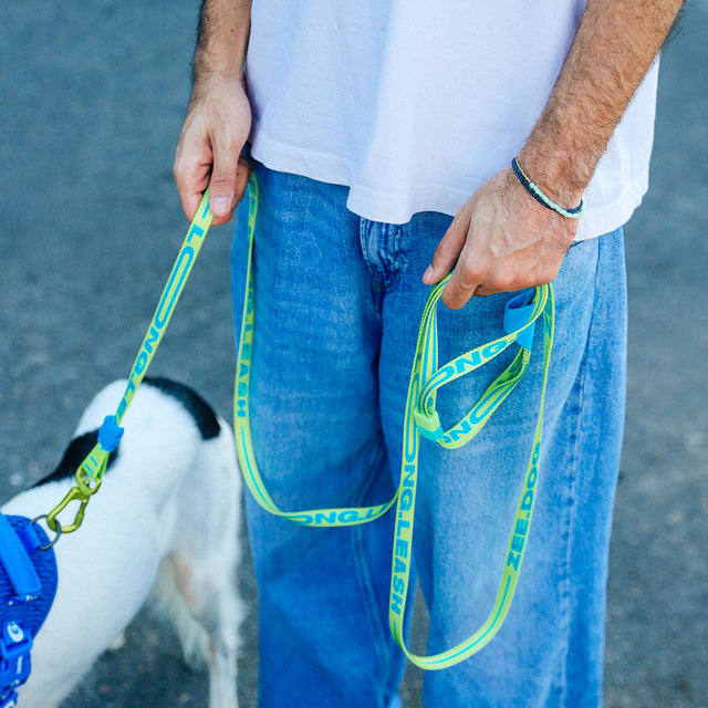 Zee.Dog Hundeleine Long Leash, Rayo Hundeleine
