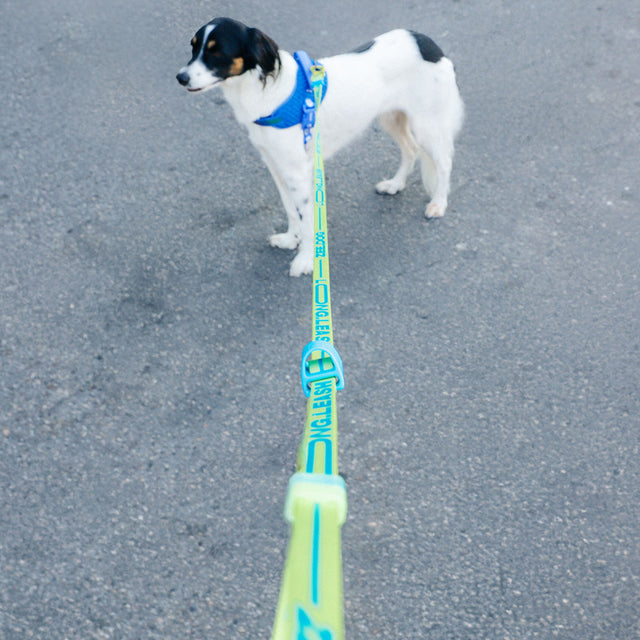 Zee.Dog Hundeleine Long Leash, Rayo Hundeleine
