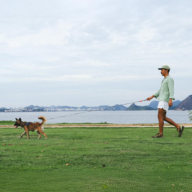 Zee.Dog Hundeleine | Long Leash Leopard Hundeleine