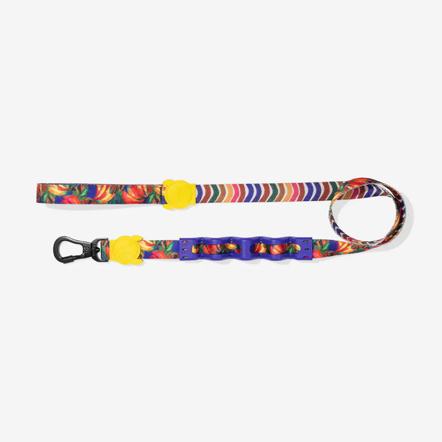 Zee.Dog Hundeleine Ruffleash, Samba Hundeleine