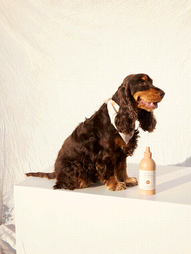 nocat studio Pflegespray, Luft Pflege