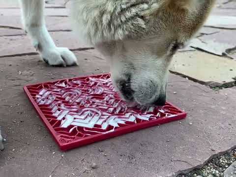 Sodapup Leckmatte Red Hearts Interaktiv