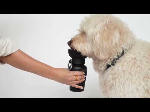 Springland Pets Travel Bottle The Flip, Oat 590ml Trinkflasche