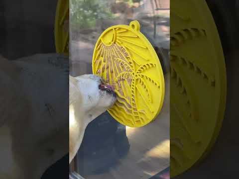 Sodapup Leckmatte | eMat Sun n' Sea Interaktiv