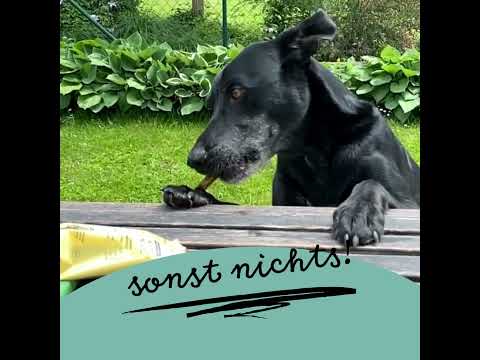 Hanfred Hanf SOS Stangerl, Pferd Funktionssnack