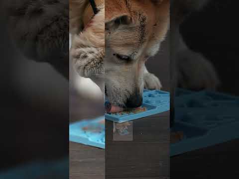 Sodapup Leckmatte Light Blue Sky Interaktiv