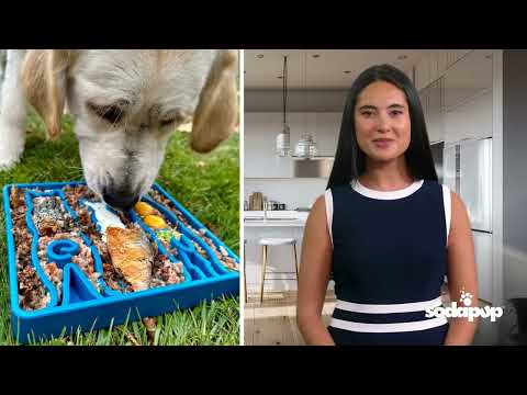 Sodapup Antischlingnapf eTray Waiting Dogs Interaktiv