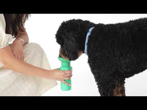 Springland Pets Travel Bottle Classic, Green 650 ml Trinkflasche