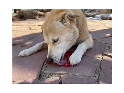 Sodapup Leckmatte Red Hearts Interaktiv