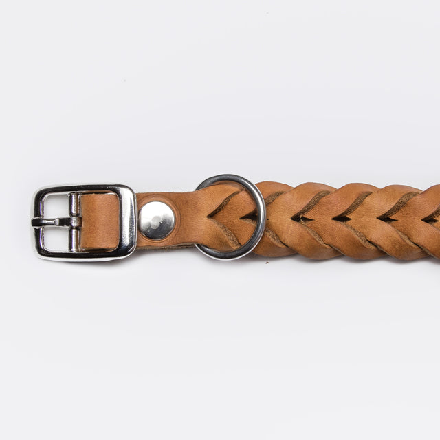 Cloud7 Hundehalsband Central Park | Camel, Chrom Hundehalsband