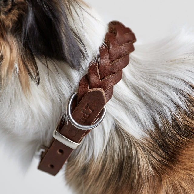Cloud7 Hundehalsband Central Park | Saddle Brown Hundehalsband