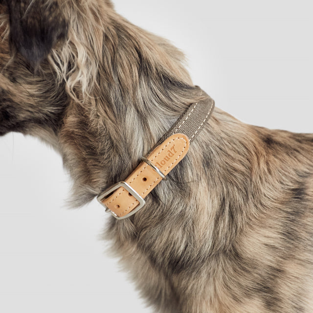 Cloud7 Hundehalsband Tivoli | Greige Hundehalsband