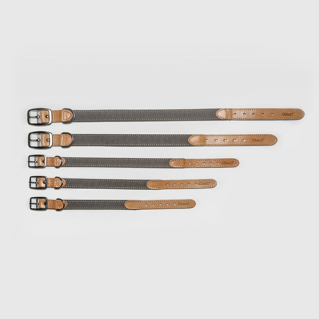 Cloud7 Hundehalsband Tivoli | Greige Hundehalsband