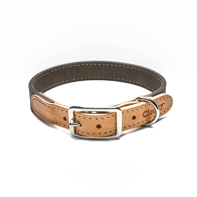Cloud7 Hundehalsband Tivoli | Greige Hundehalsband