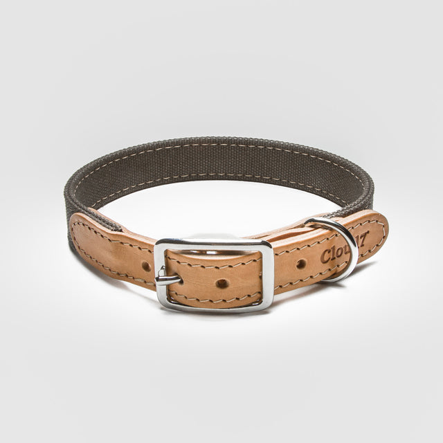 Cloud7 Hundehalsband Tivoli | Greige Hundehalsband