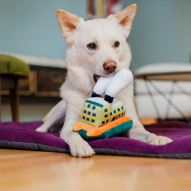 P.L.A.Y. Hundespielzeug | Fetching Ferry Stoffspielzeug