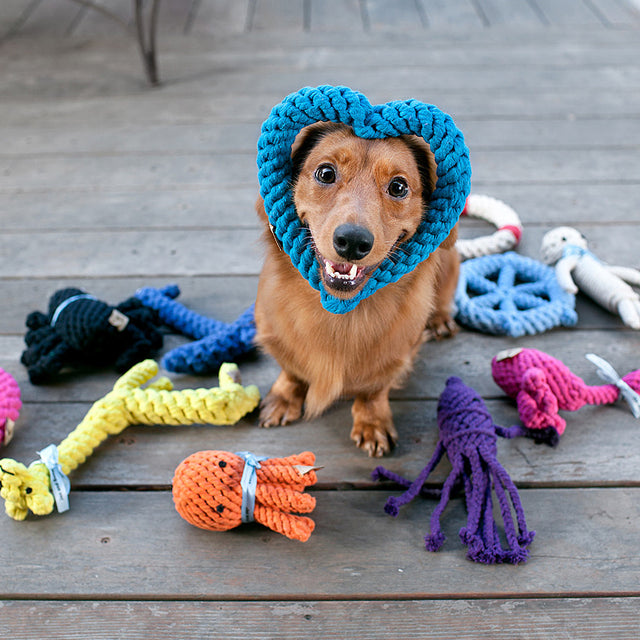 Jax & Bones Hundespielzeug Tau | Larry the Lion Tauspielzeug