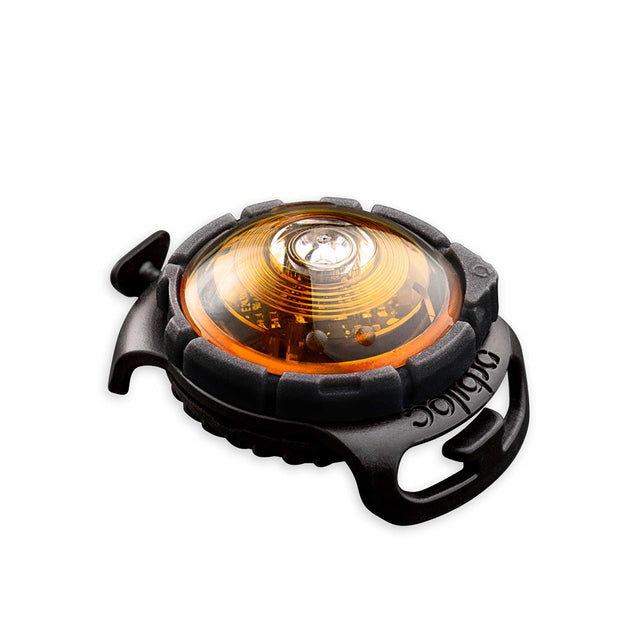 Orbiloc Dog Dual Safety Light Sicherheit Gelb