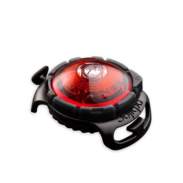 Orbiloc Dog Dual Safety Light Sicherheit Rot