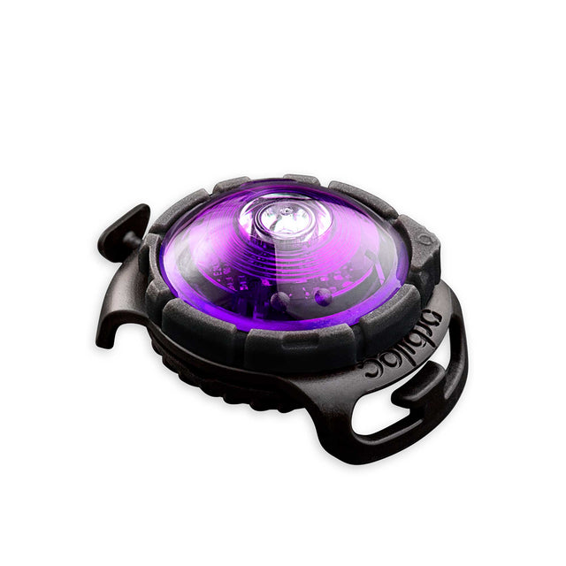 Orbiloc Dog Dual Safety Light Sicherheit Violett